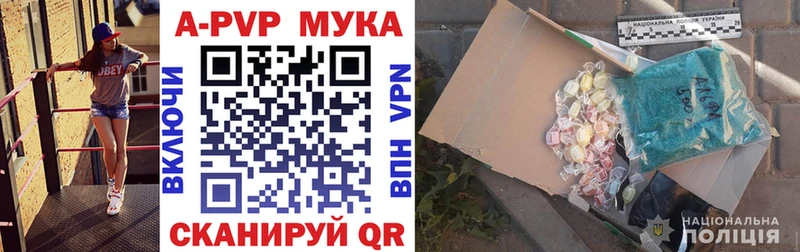 Alfa_PVP СК КРИС  Сольвычегодск 