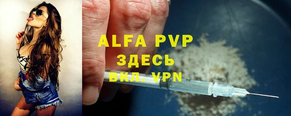 молекула духа Арсеньев
