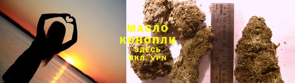 молекула духа Арсеньев