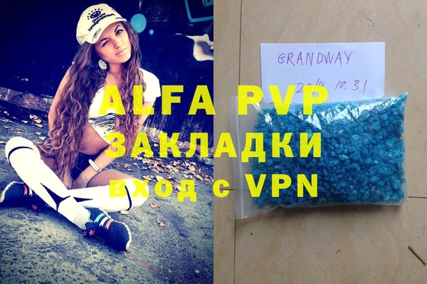 молекула духа Арсеньев