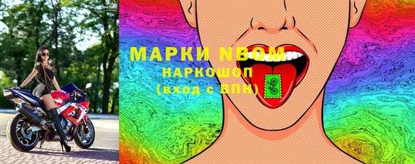 молекула духа Арсеньев