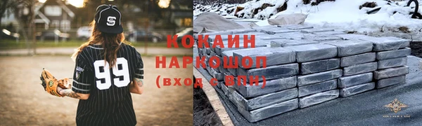 молекула духа Арсеньев