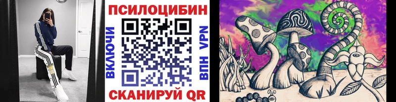 Псилоцибиновые грибы ЛСД  Сольвычегодск 